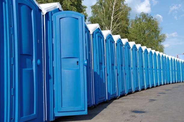 Best Local porta potty services  in Marlinton, WV